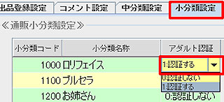 小分類アダルト認証設定
